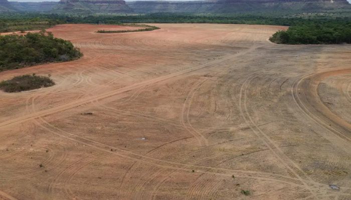  Exportadores de soja deixam acordo sobre desmatamento na Amazônia 